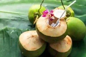 Coconut Water Benefit And Side Effects During Pregnancy